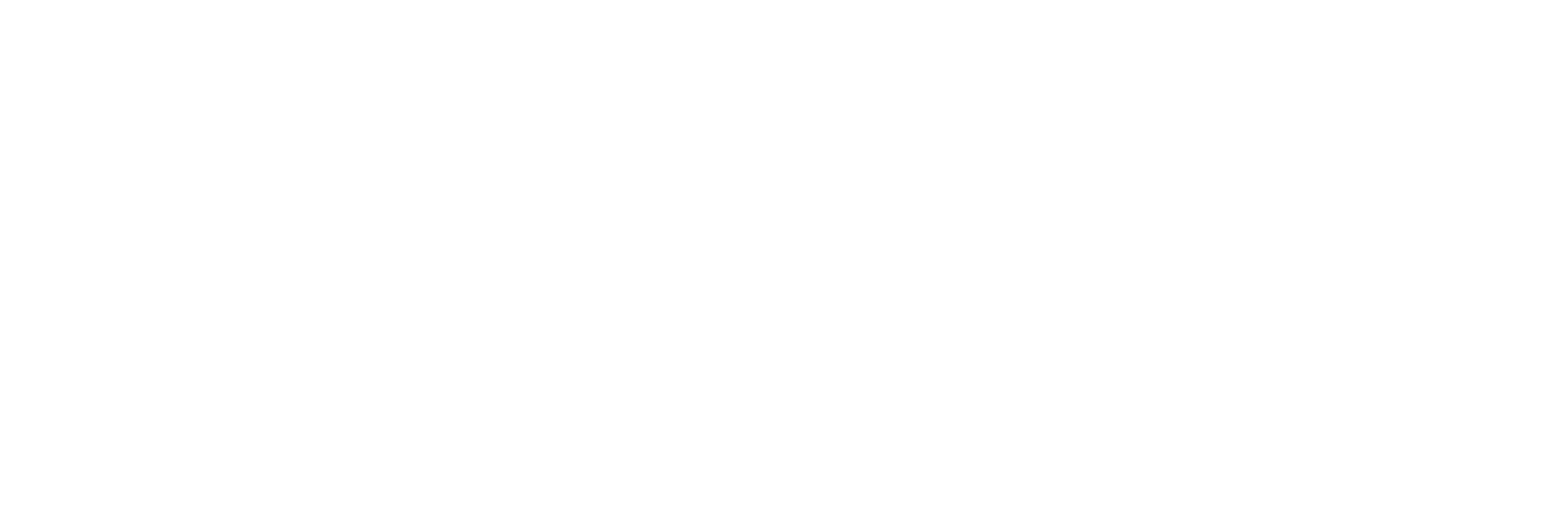 BusySeed